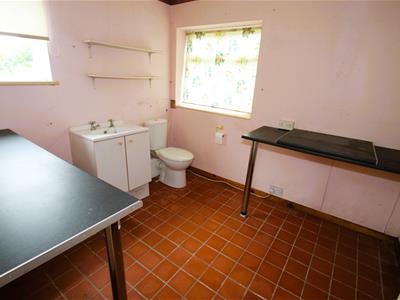 Picture 7